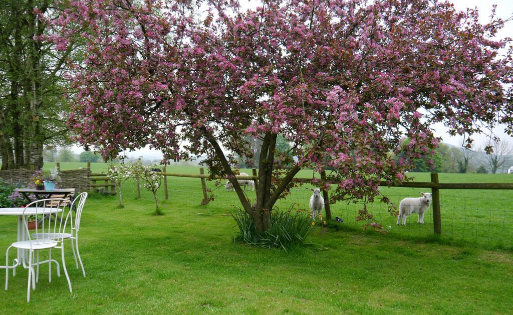 Bed and Breakfast Yew Tree Farm Eaton  Экстерьер фото