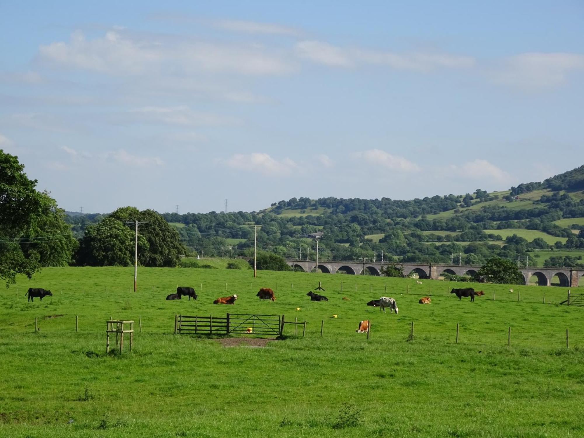 Bed and Breakfast Yew Tree Farm Eaton  Экстерьер фото