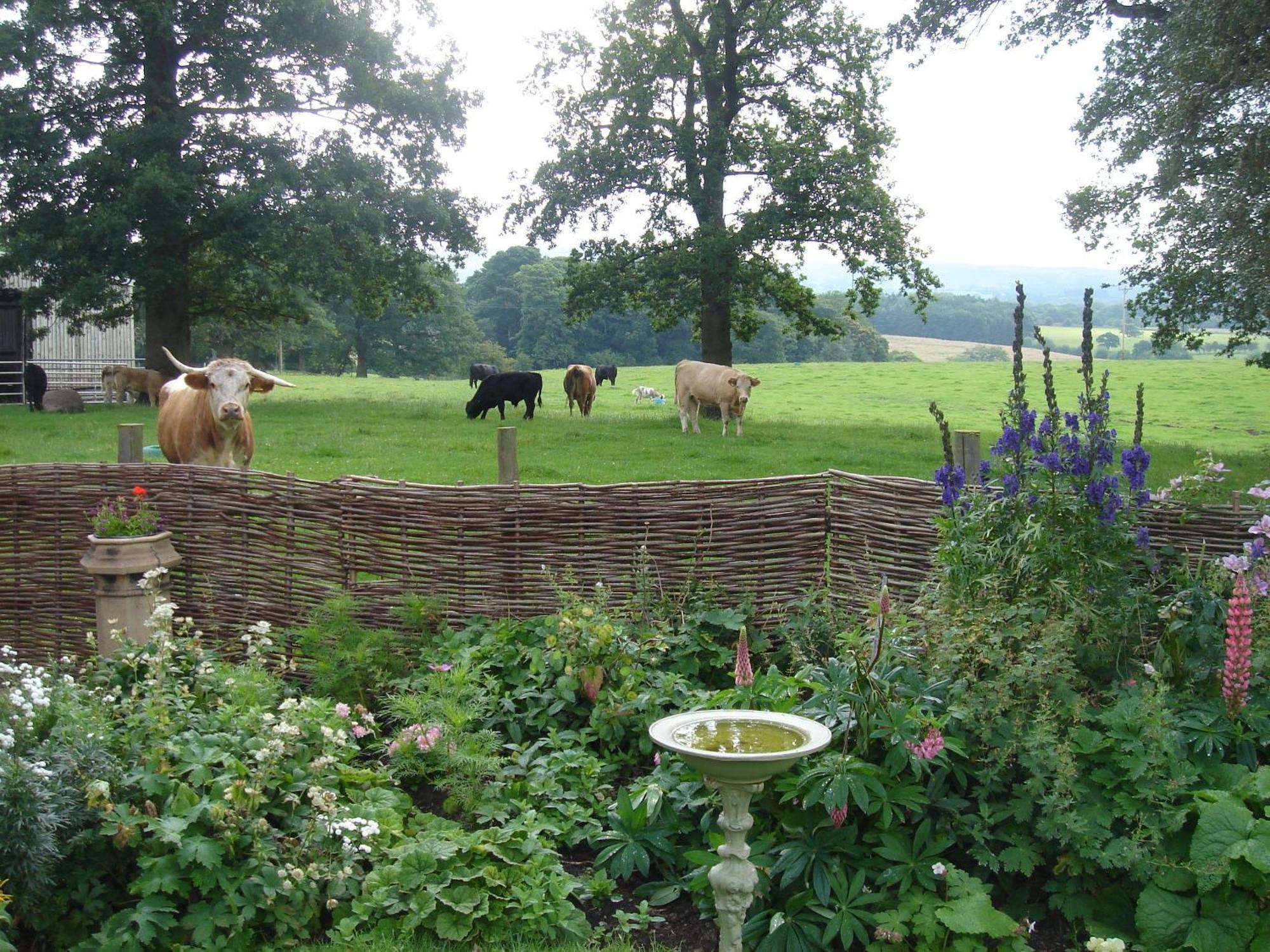 Bed and Breakfast Yew Tree Farm Eaton  Экстерьер фото