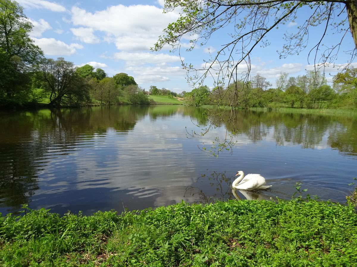 Bed and Breakfast Yew Tree Farm Eaton  Экстерьер фото