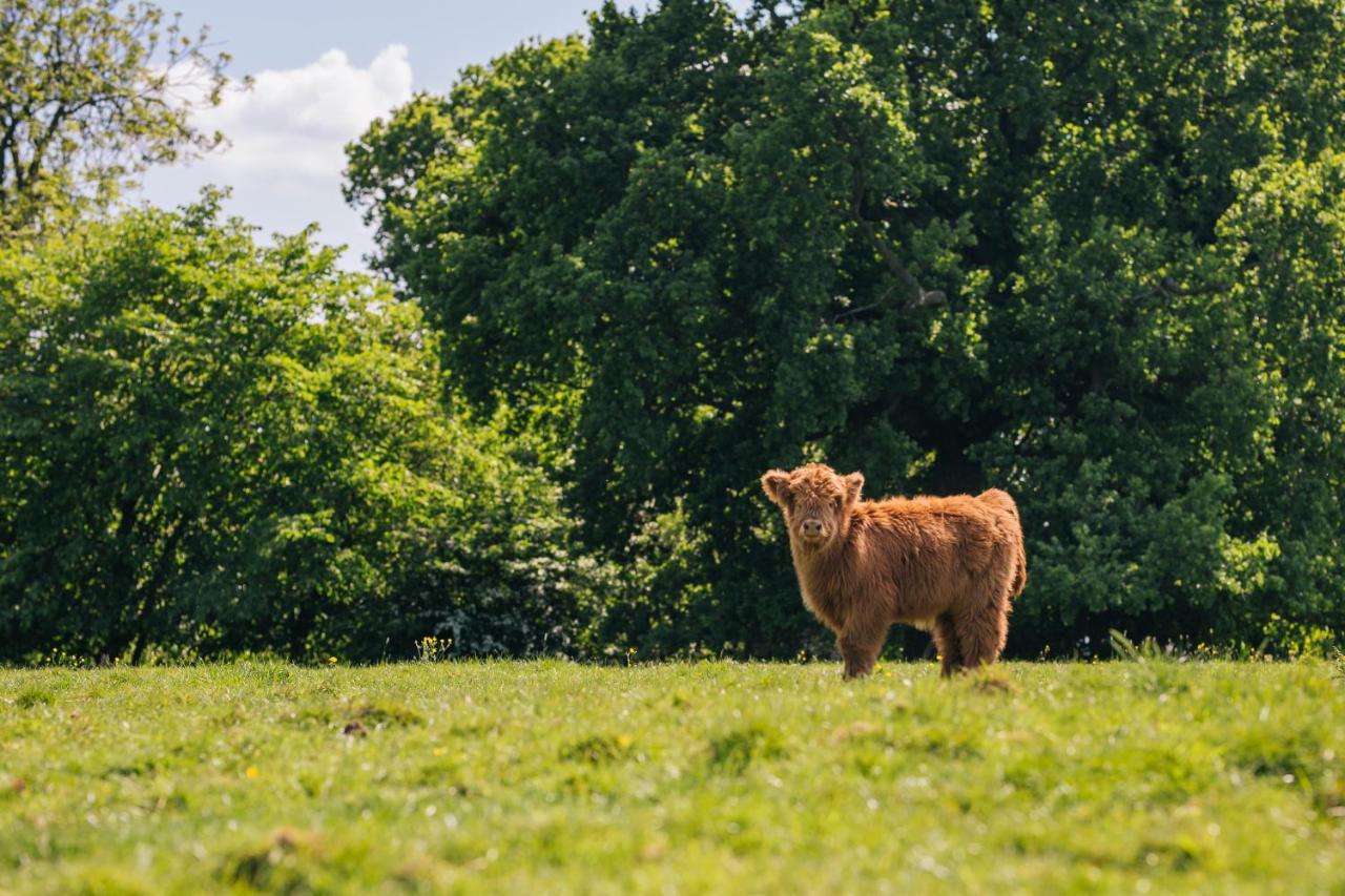 Bed and Breakfast Yew Tree Farm Eaton  Экстерьер фото